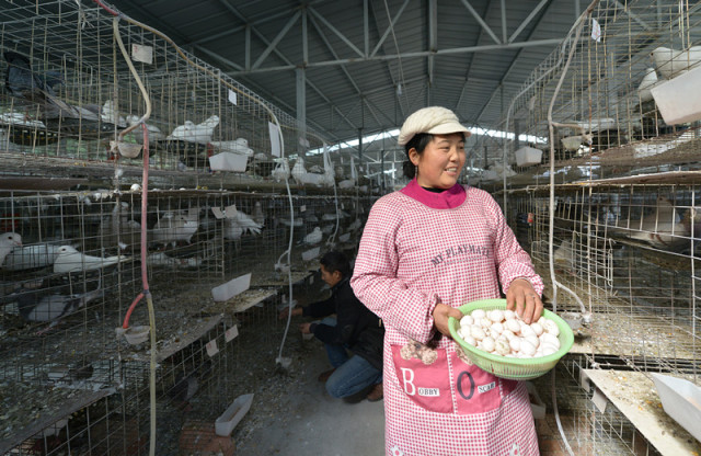 国产精成人品2018 精成能根据用户习惯调整