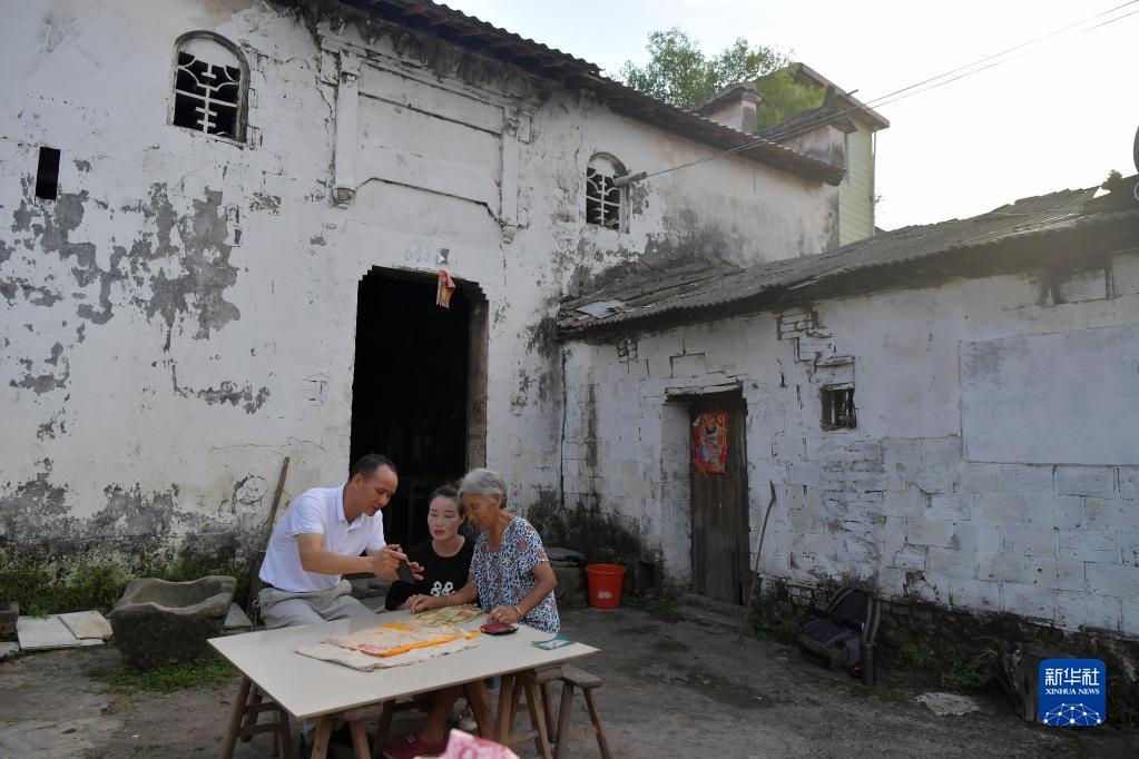 趣趣温柔 趣趣温柔明亮却不灼人