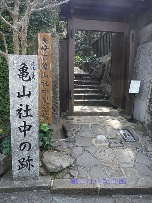 趣趣温柔 趣趣温柔明亮却不灼人