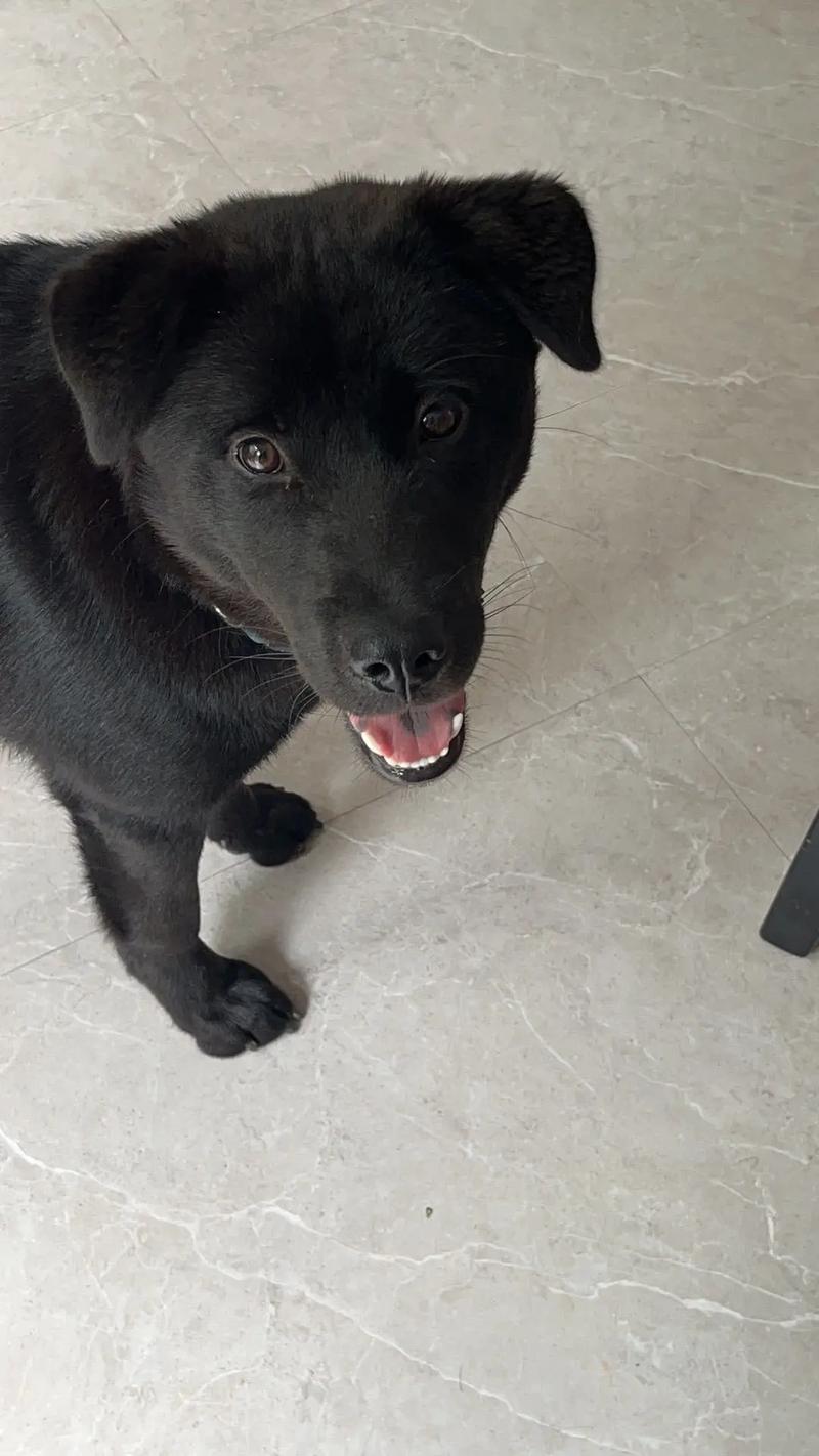 欧美一级婬片A片久久精品下载