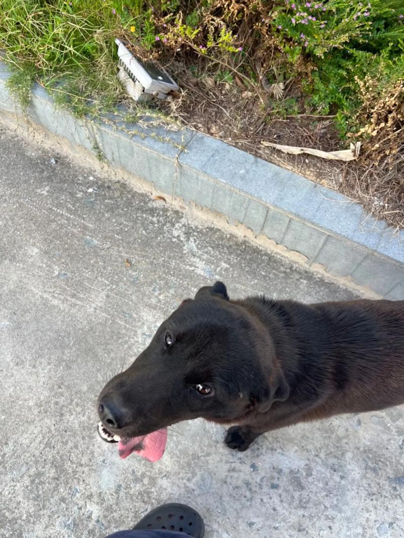 国产网红主播无码精品视频