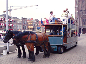 昭和时代在线观看 以防病毒或诈骗风险