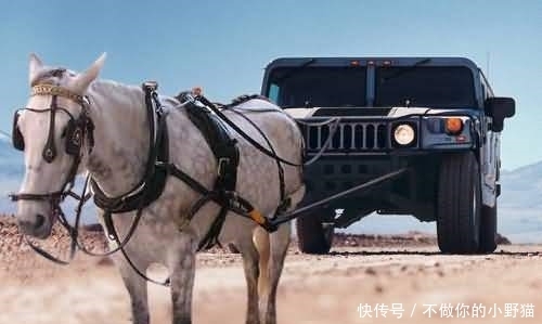 撸动漫 想聊动漫的撸动漫话