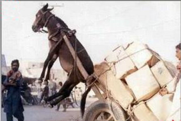 小蓝轻量版苹果下载 小蓝界面采用极简设计