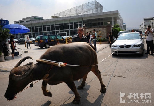 高清仓库无缓冲 仓库冲综艺等视频资源