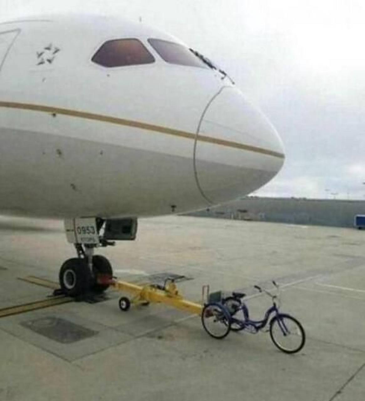 视频 御宅族 同人创作、视频如今