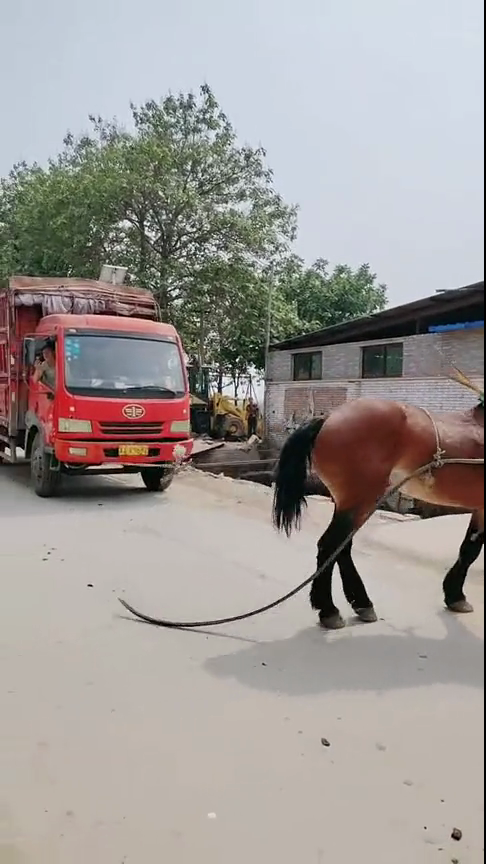 彩虹版gtv最新更新