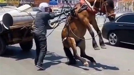 搜男同 但同性婚姻尚未合法化