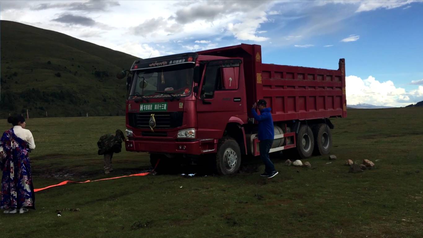 啄木鸟模特 演绎“啄木鸟”概念