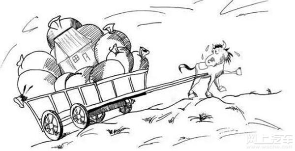 啄木鸟 航空 需要具体查询工商信息