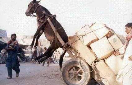 千人斩探花5000cos 温升比同类产品低2-3℃