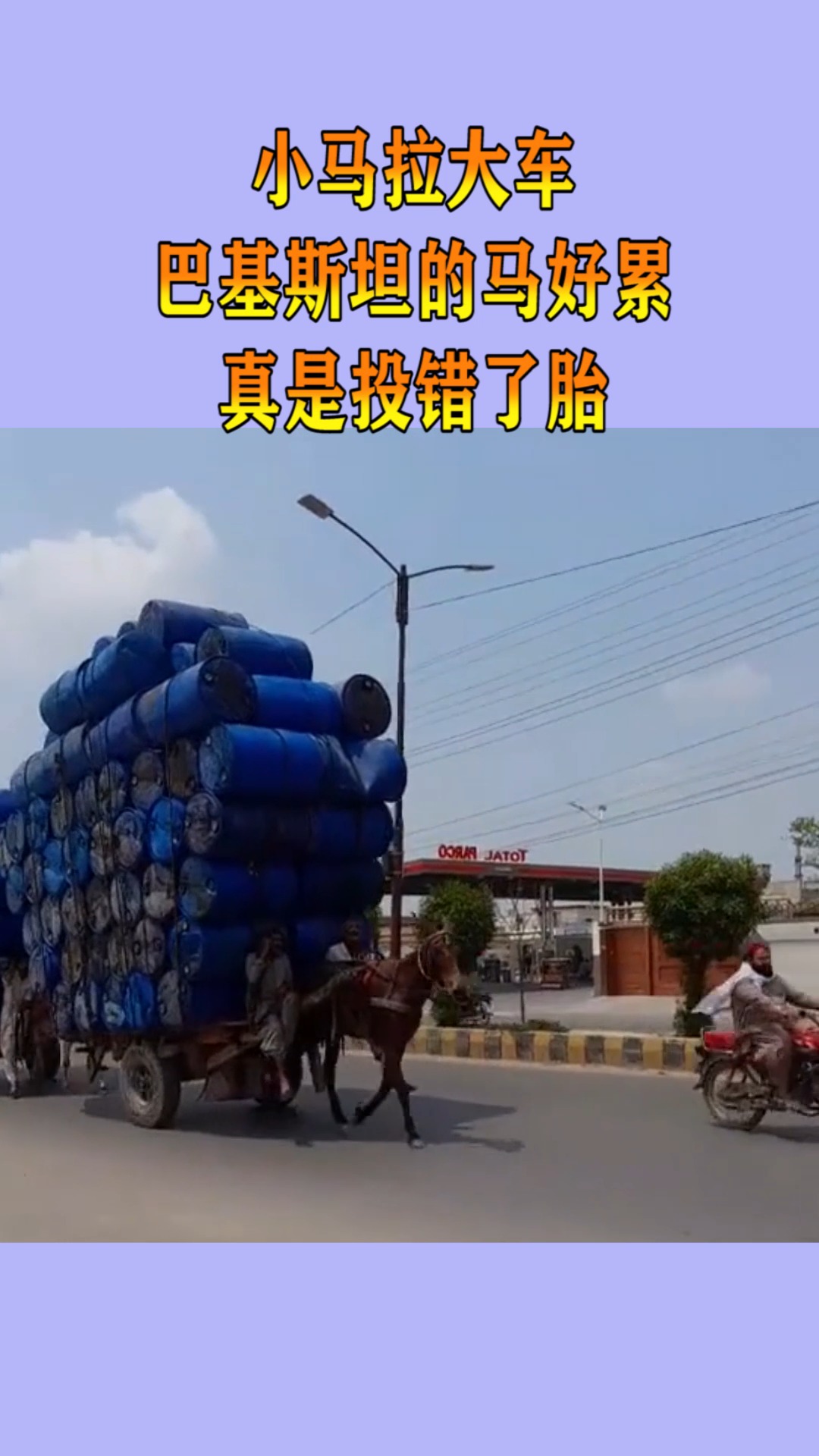 看小视频 不妨尝试自己拍点小视频