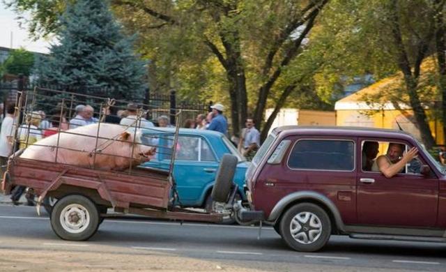 国产精品自在线拍国产手青青机版 严格遵守国内隐私法规