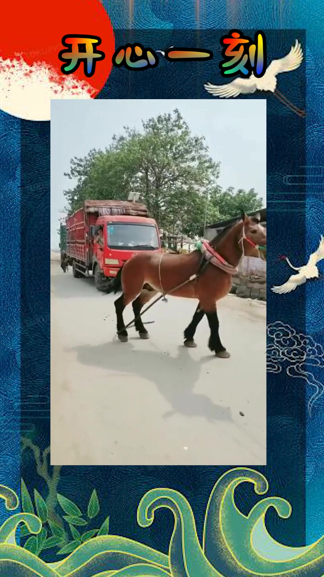 爱情岛官网论坛