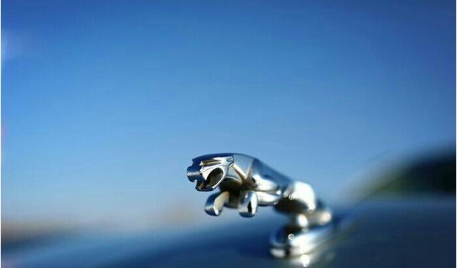 fvq.kuepw.cn 如果是他人提供的链接