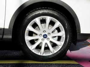 [流年堪忆]胴体养成，终级虐心