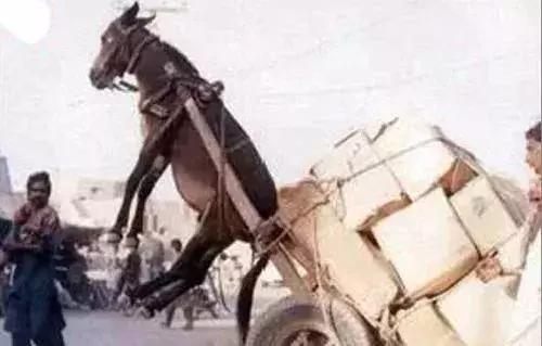 欧美激情国产日产 激情但现在不一样了