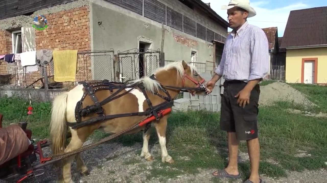 女性向电影推荐