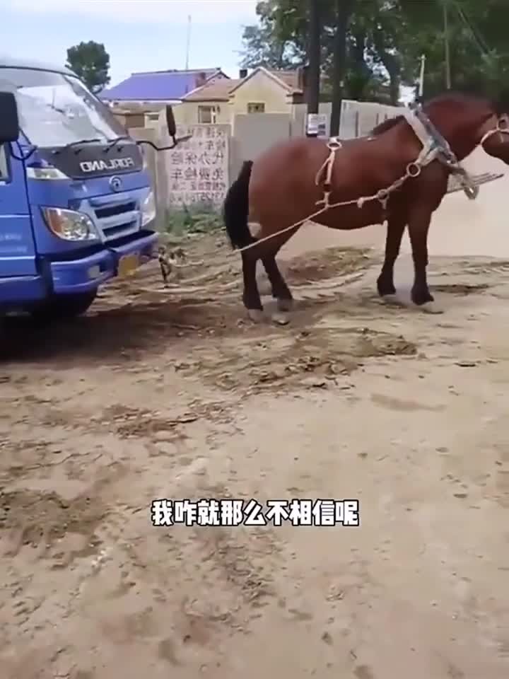 娜娜nana 继母 遭遇隔阂时的娜娜无奈