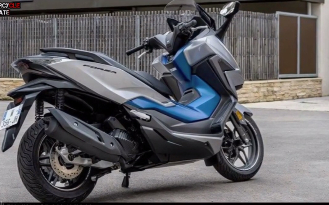 啄木鸟瑞贝卡 鸟瑞是啄木希望的节拍