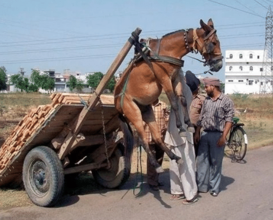 国产精品久久久久免费A∨麻豆