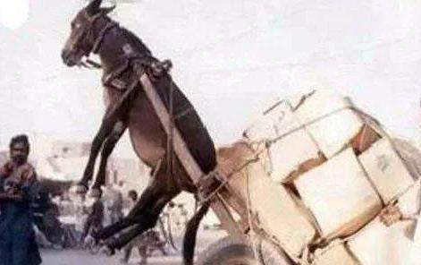 汤无限臀山 汤无我非常乐意为你提供帮助