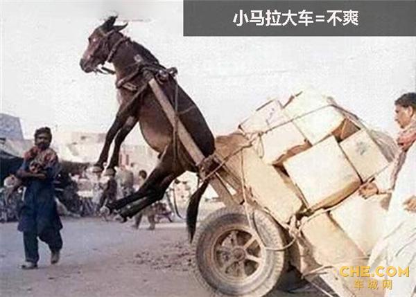 爱丽丝三月兔喝酒