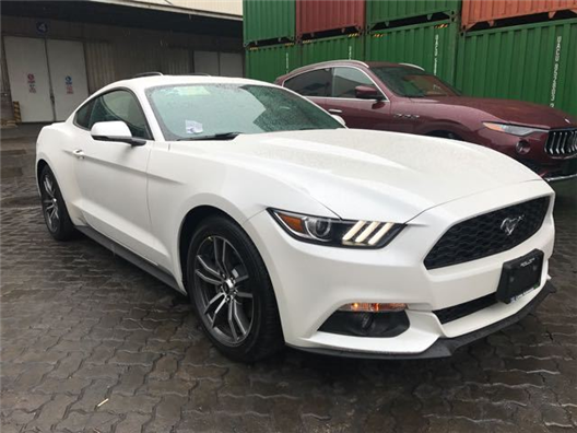 51视频破解版 视频我很乐意为你提供帮助