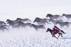 黃动漫 我非常乐意为你提供帮助