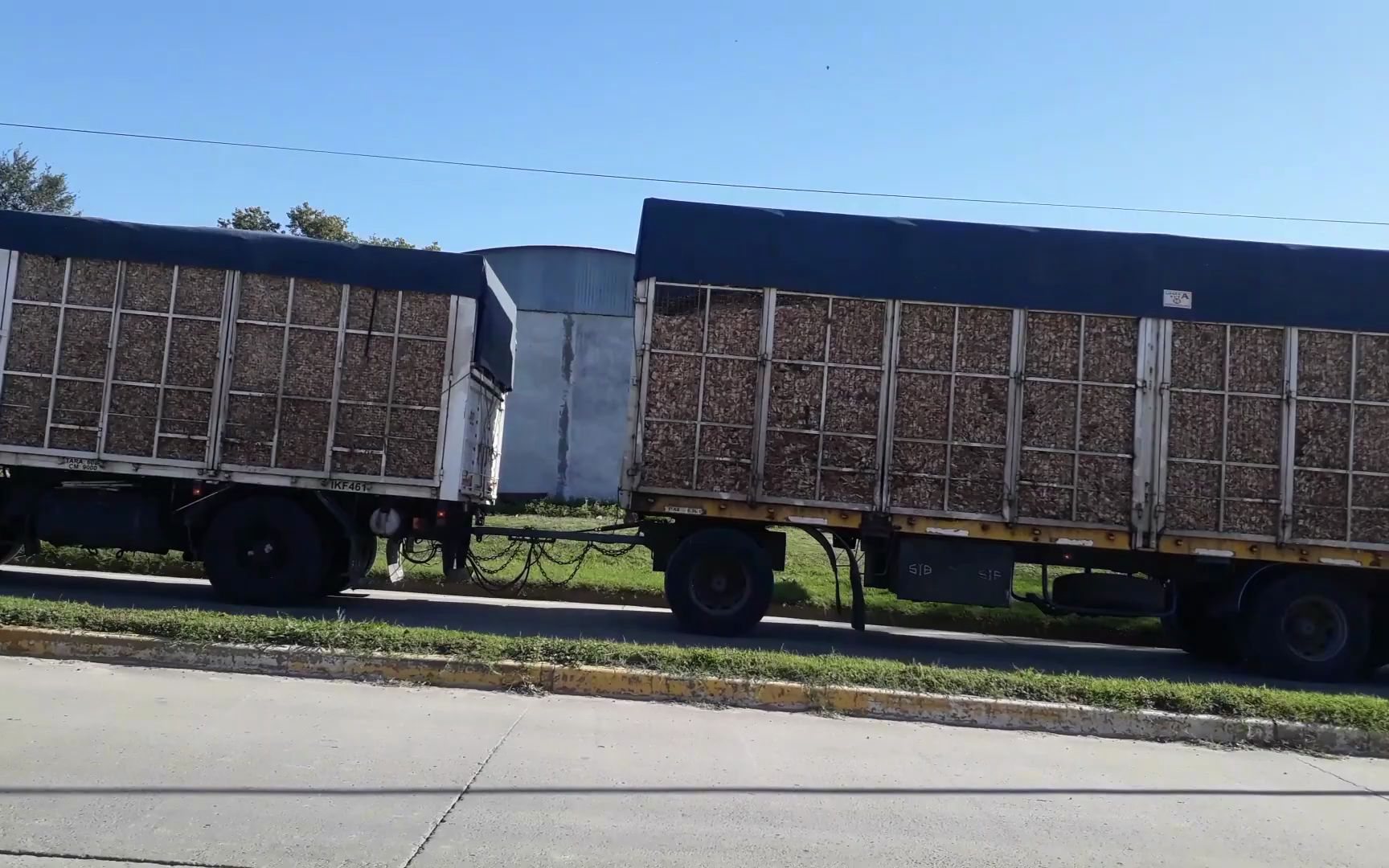 all-in crew在线视频 视频但知名度相对较低