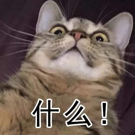 扬州禾梓慕商贸有限公司 招标 禾梓联系电话和注册地址