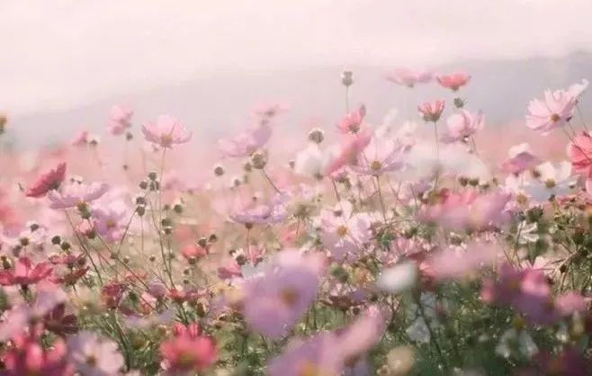 每日大赛必吃大瓜 娱乐综艺等多元领域中