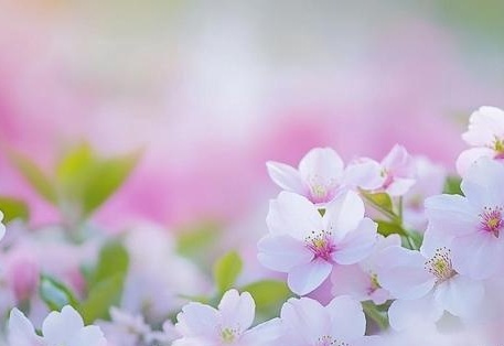 66 涩 我还没有学会回答这个问题