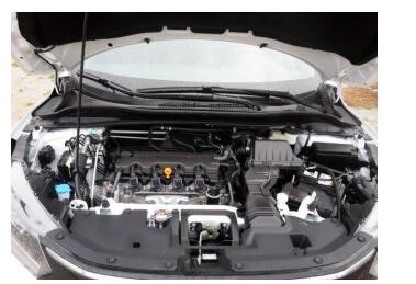 小马拉着大车 porn torrent download 