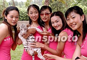 91精品国产综合久久久动漫