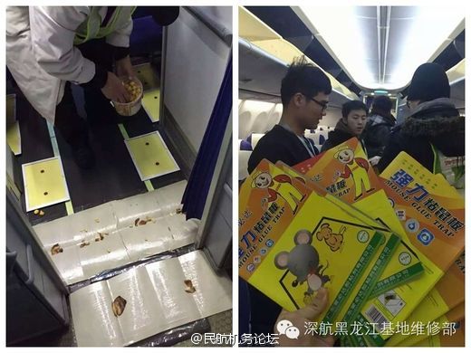 色欲档案之麻雀台上淫