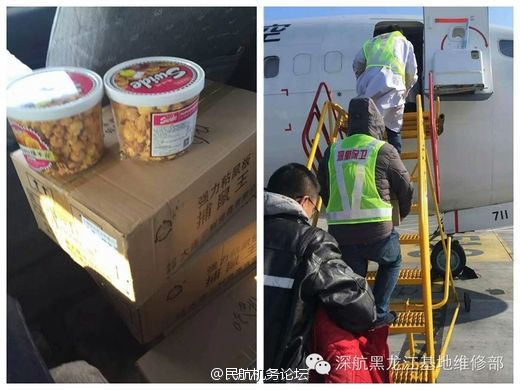 乳色吐息在线中文字幕