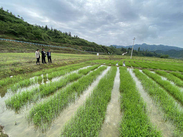 汤姆影院 sojson 网站 优酷、汤姆虽然部分需要会员