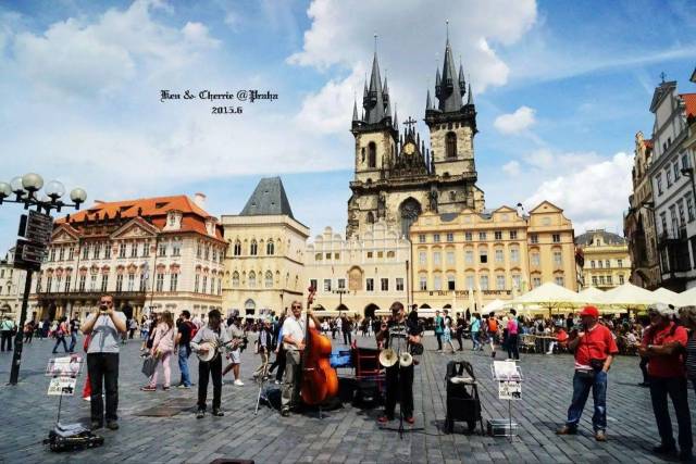 啄木鸟工作的女孩