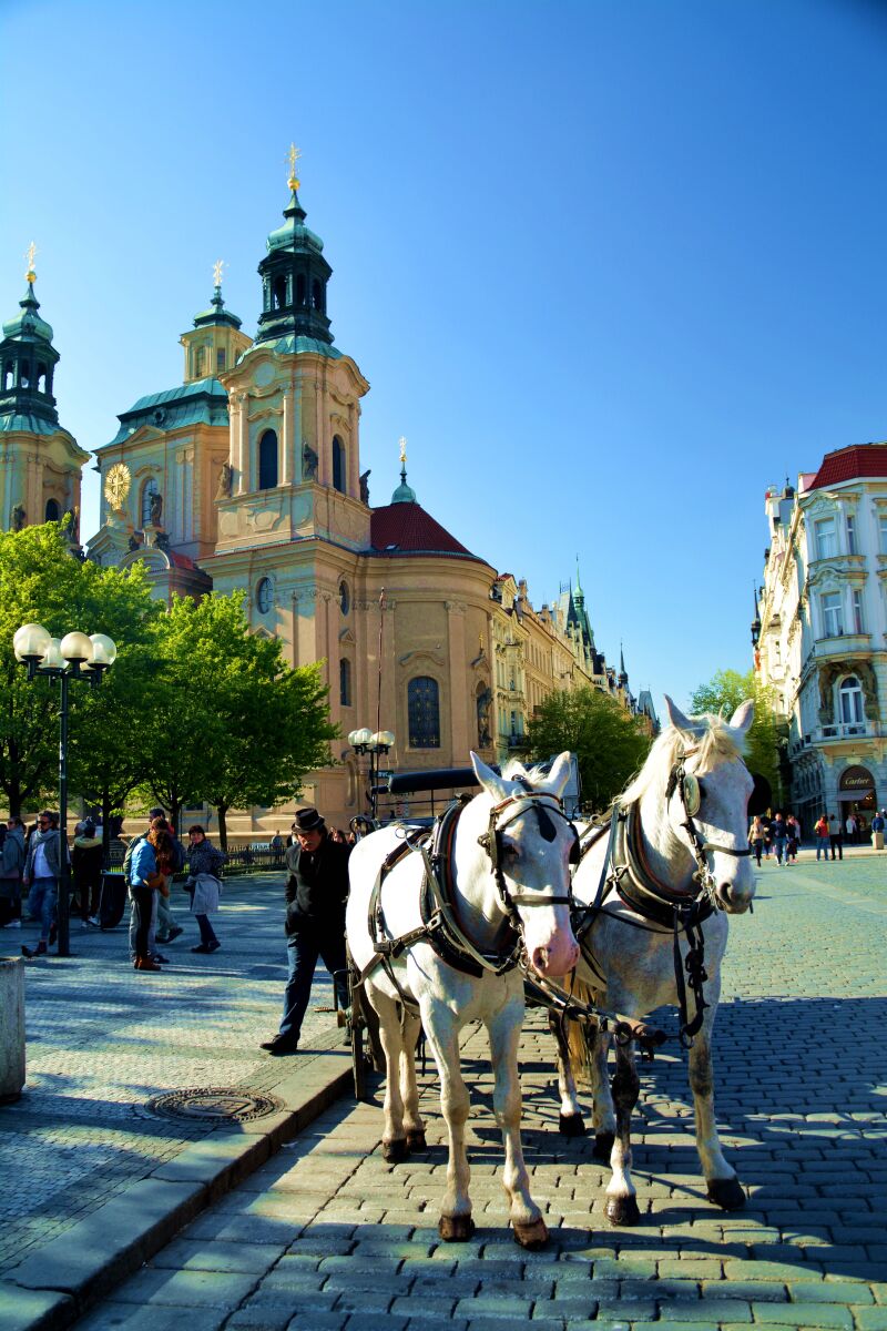 高崎圣子番号 番号是圣番回忆的载体