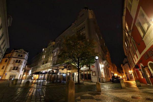 法国啄木鸟全集