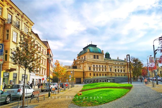 久久久久久国产精品免费免费