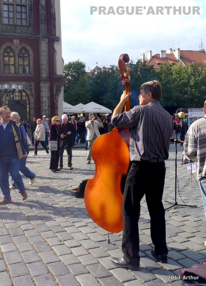 猫先生高清视频