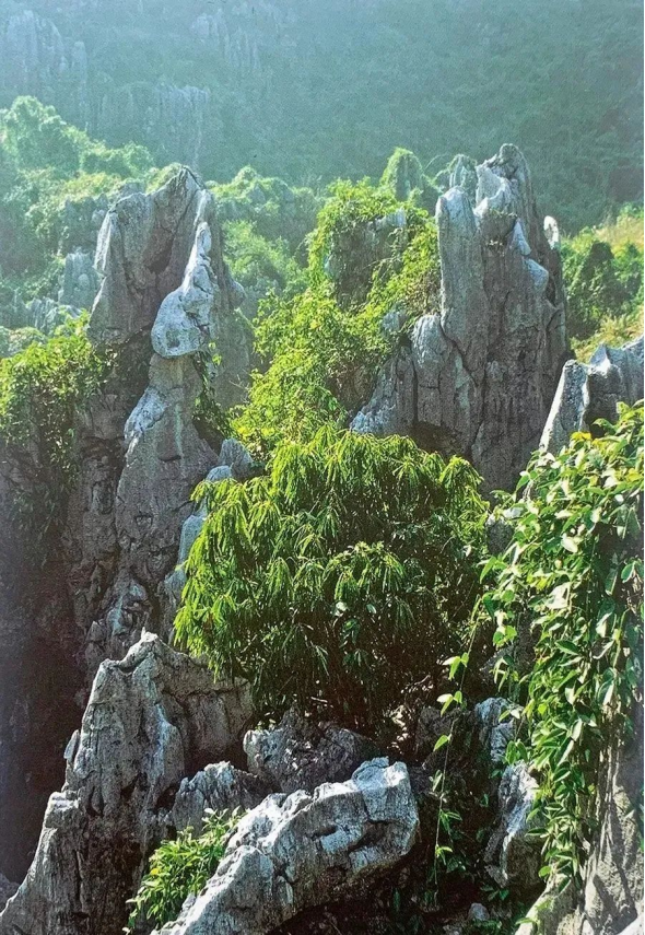 国产伦精品一区二区三区视频优播 品区从高清画质到智能缓冲