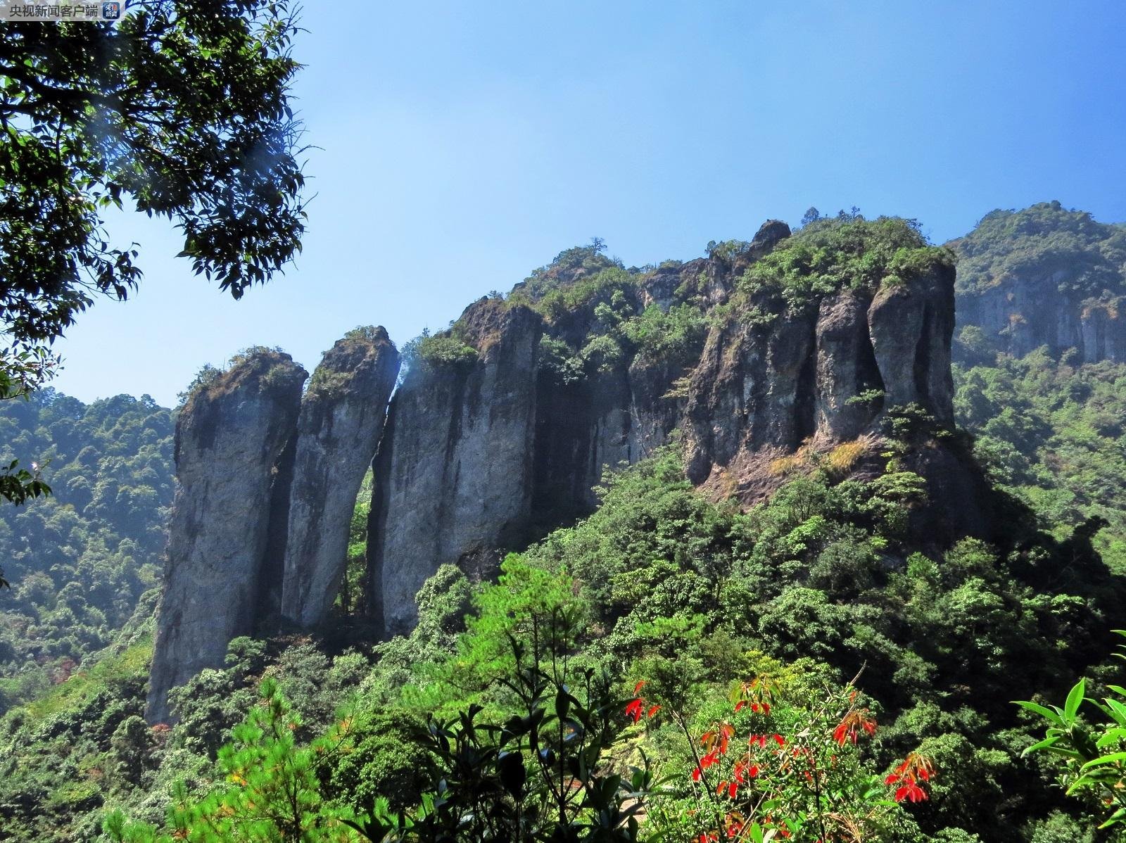 動漫同人 動漫同人构建了无数平行宇宙