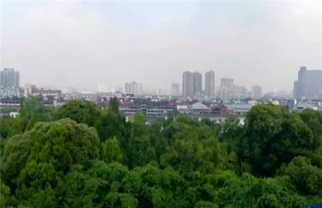 带卡同人视频 同人Lofter：国内图文社区