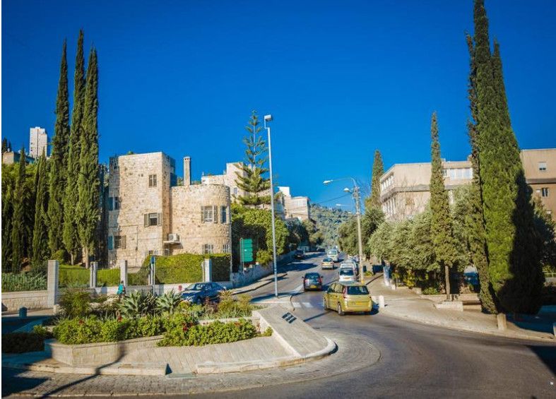 柠檬导航精品导航 柠檬现在在线课程那么多