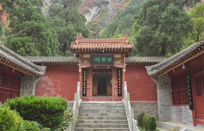 91哟哟网站在线观看