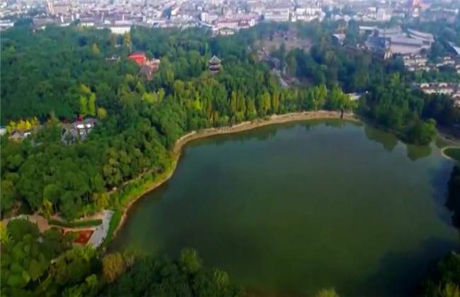 斯托雅视频在线