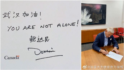 宝可梦同人3d 梦同MAD / AMV：使用3D模型渲染